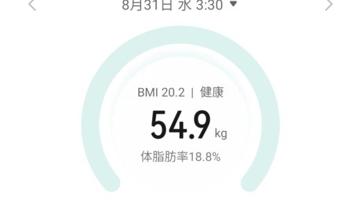 【1ヶ月経過】基準となる体重を減らしてみる