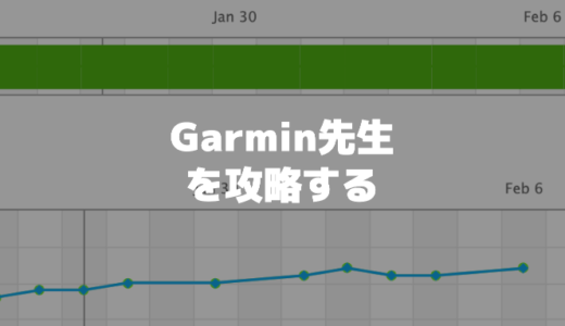 Garmin先生を攻略する