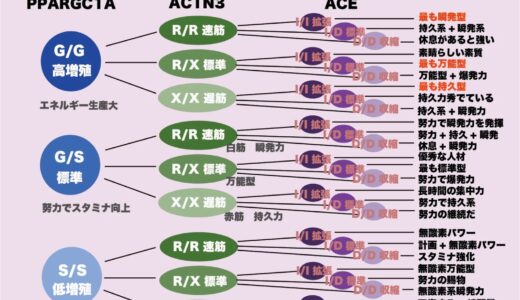 エクササイズ遺伝子検査をしてみた