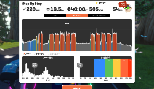 第55回Vo2Max向上委員会 – Step by Step